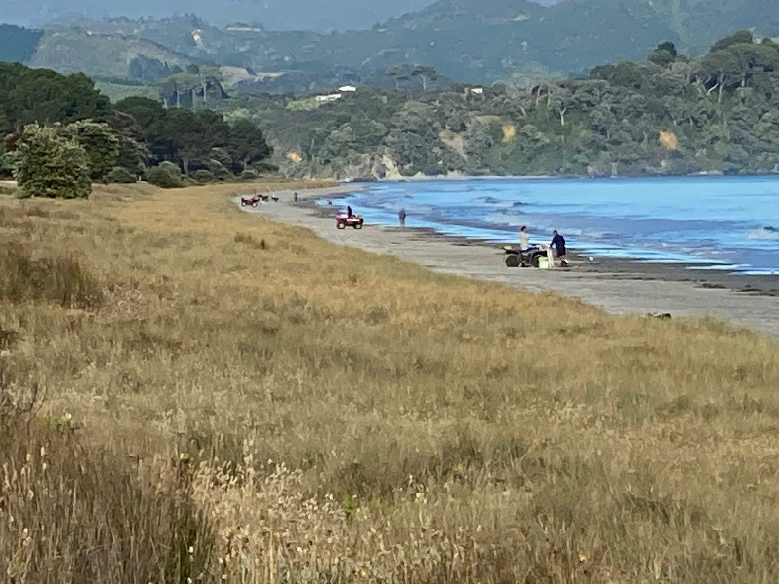 Coromandel Peninsula coastline with pohutukawa trees and turquoise water